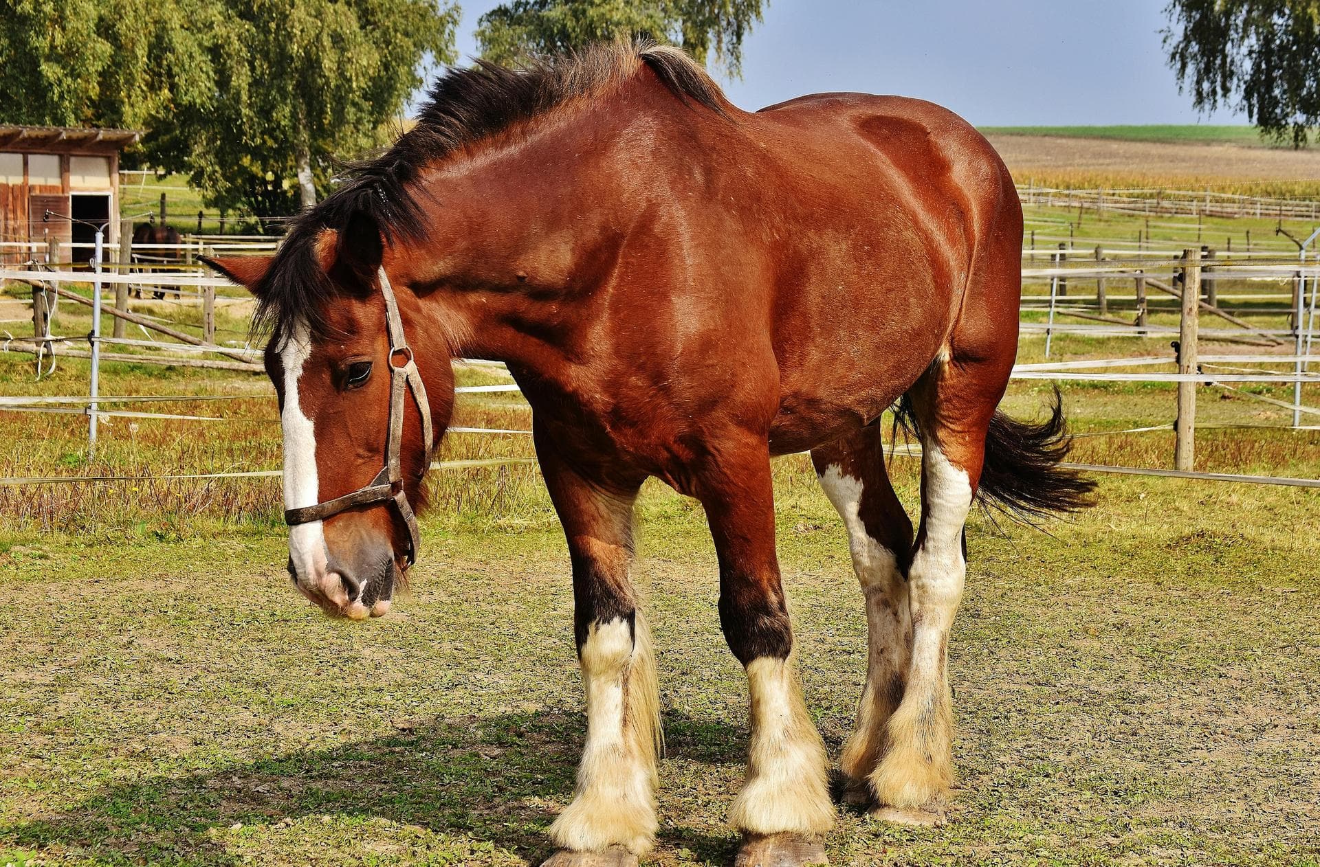 Vet Prices in Gloucester