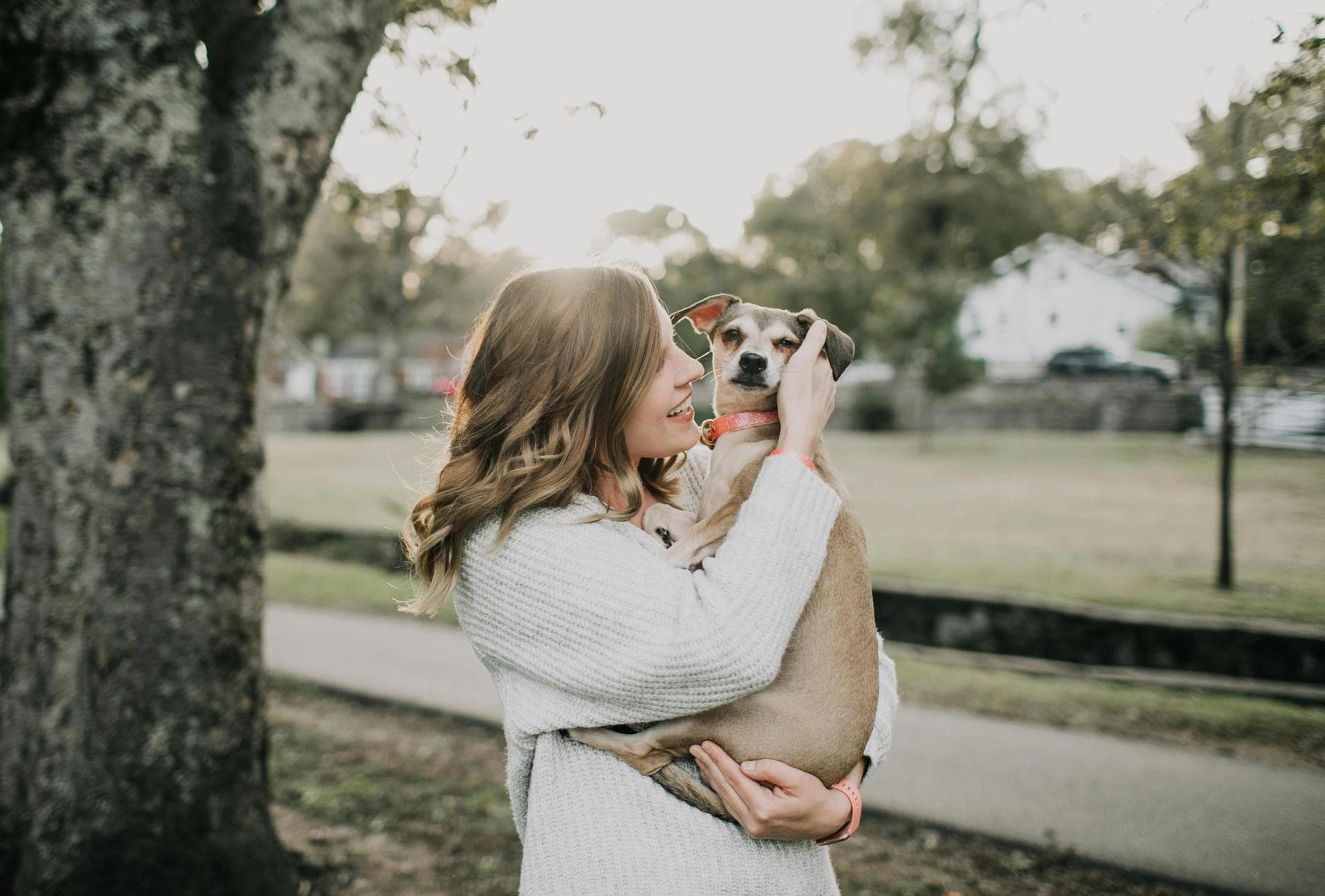Dog Puppy Vaccinations Kennel Cough Prices in Gloucester